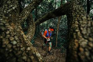 BIB: 
                            <button type="button" onclick="openModal(25668196)" class="btn btn-primary btn-sm float-right btn-popup" data-toggle="modal" data-target=".modal-high-quality">
                        <i class="fas fa-shopping-cart"></i> Add to Cart
                    </button>
                                            <button type="button" onclick="isThisMe(25668196, true)" class="btn btn-success btn-sm float-right btn-popup btn-isme hidden" data-toggle="tooltip" data-placement="bottom" title="นี่คือรูปของคุณใช่ไหม คลิกที่นี่เพื่อเอาเข้าอัลบั้ม">
                        <i class="fas fa-plus"></i> Add to album
                    </button>
                    <button type="button" onclick="isThisMe(25668196, false)" class="btn btn-warning btn-sm float-right btn-popup btn-isnotme hidden">
                        <i class="fas fa-ban"></i> Remove from album
                    </button>